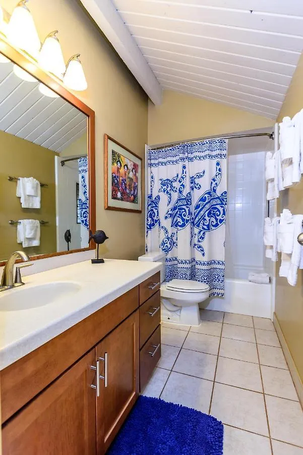 Villa Hale Mahina B401 à Kahana