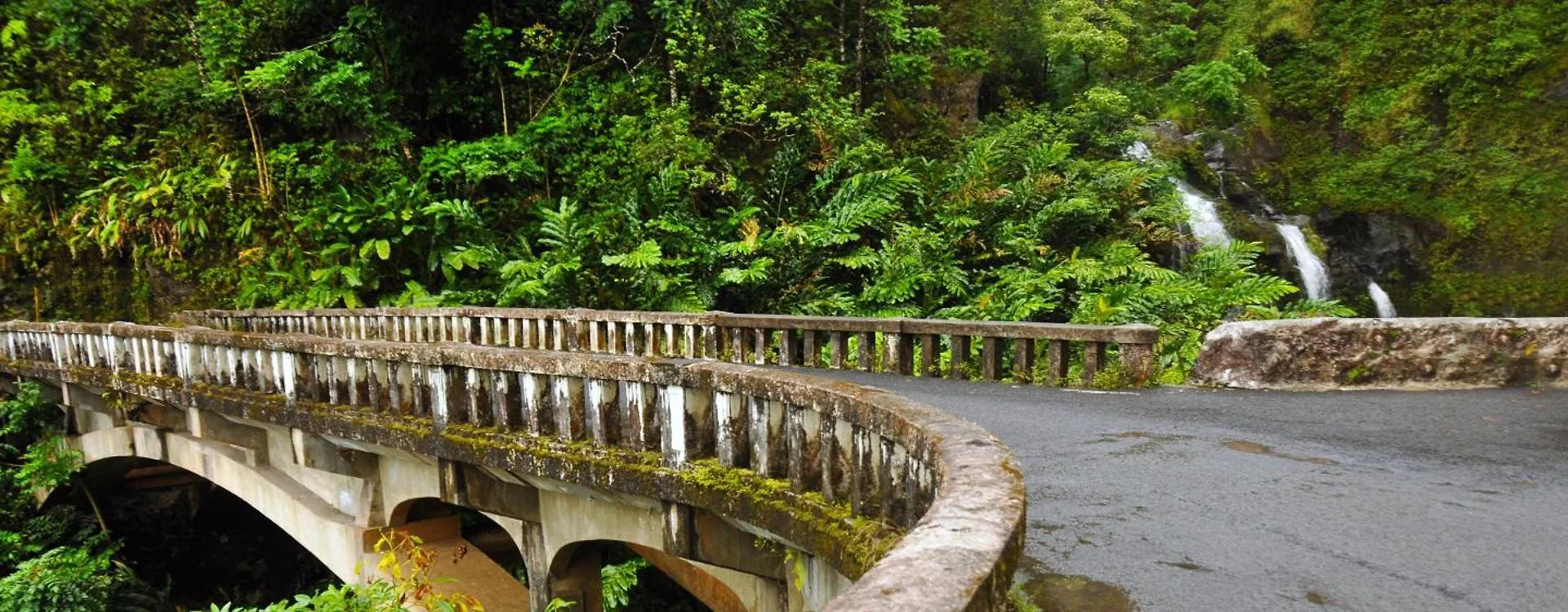 Villa Hale Mahina B401 à Kahana