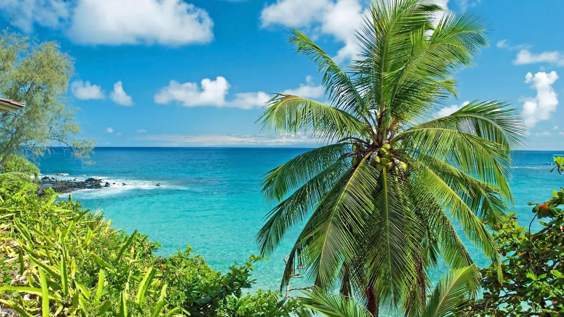 Hébergement de vacances Villa Hale Mahina B401 à Kahana États-Unis